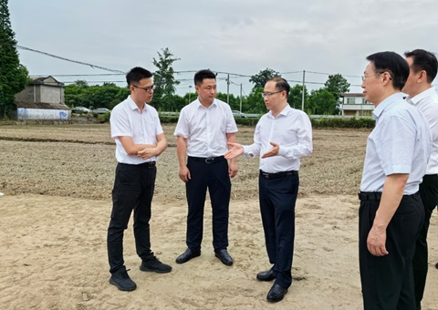 胡云赴眉山调研耕地保；；；；；な褂煤透弑曜寂┨锝ㄉ枋虑