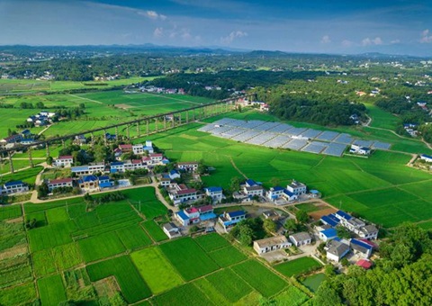 湖南：靶向发力盘活存量土地资产<br>为206家机关企事业单位定制处理方案，，，，，，盘活土地2.6万亩